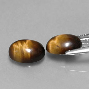 Achetez naturel ct marron tiger's eye gems, coupe ovale, en provenance thaïlande chez gemselect. en stock, livraison internationale!