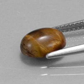 Tiger's eye marron naturelle coupe ovale, 1,55 ct, opaque