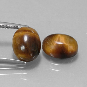 Achetez naturel ct marron tiger's eye gems, coupe ovale, en provenance thaïlande chez gemselect. en stock, livraison internationale!