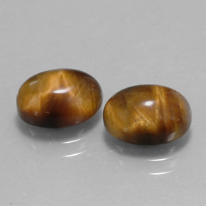 Achetez naturel ct marron tiger's eye gems, coupe ovale, en provenance thaïlande chez gemselect. en stock, livraison internationale!