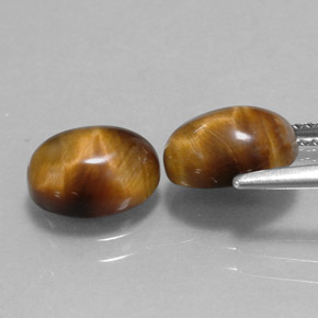 Achetez naturel ct marron tiger's eye gems, coupe ovale, en provenance thaïlande chez gemselect. en stock, livraison internationale!