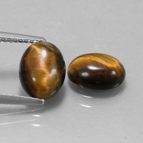 Achetez naturel ct marron tiger's eye gems, coupe ovale, en provenance thaïlande chez gemselect. en stock, livraison internationale!