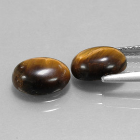 Achetez naturel ct marron tiger's eye gems, coupe ovale, en provenance thaïlande chez gemselect. en stock, livraison internationale!