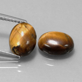 Achetez naturel ct marron tiger's eye gems, coupe ovale, en provenance thaïlande chez gemselect. en stock, livraison internationale!