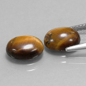 Achetez naturel ct marron tiger's eye gems, coupe ovale, en provenance thaïlande chez gemselect. en stock, livraison internationale!