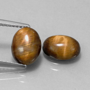 Achetez naturel ct marron tiger's eye gems, coupe ovale, en provenance thaïlande chez gemselect. en stock, livraison internationale!