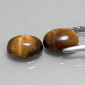 Achetez naturel ct marron tiger's eye gems, coupe ovale, en provenance thaïlande chez gemselect. en stock, livraison internationale!