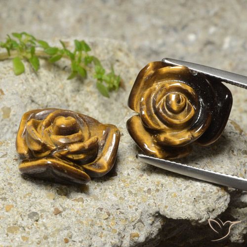20.21ctw Naturel Marron chaud Œil de tigre, Taille Fleur, Opaque
