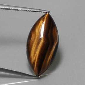 Tiger's eye marron naturelle marquise, 13,03 ct, opaque