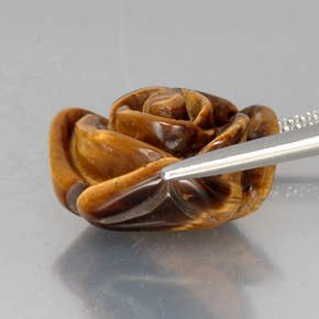 Tiger's eye marron naturelle forme fantaisie, 10,53 ct, opaque