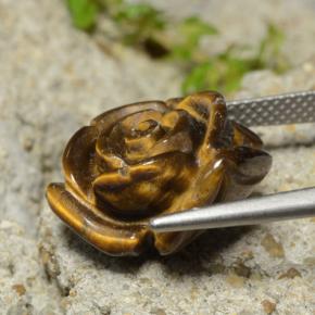 Oeil de Tigre Brun moyen naturelle Taille Fleur, 10.98 ct, Opaque