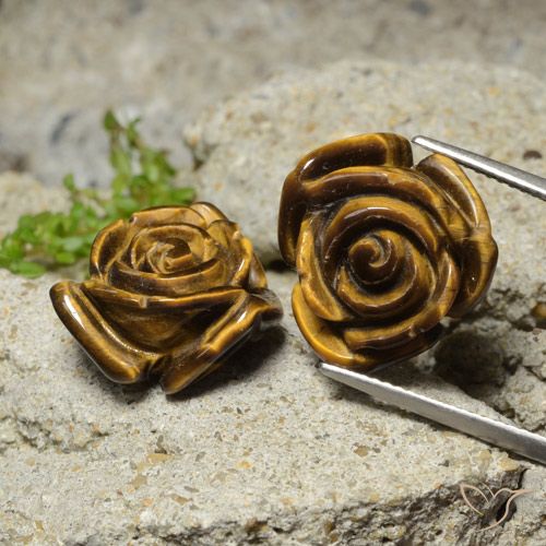 23.62ctw Naturel Brun pain d'épices Œil de tigre, Taille Fleur, Opaque