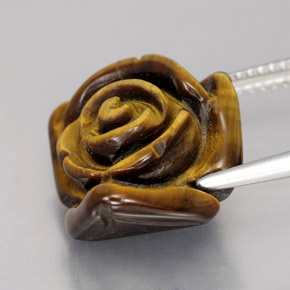 Tiger's eye marron naturelle forme fantaisie, 12,47 ct, opaque