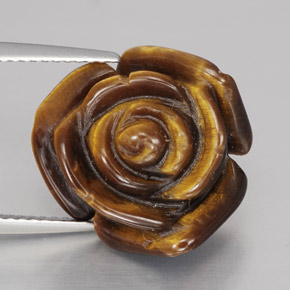 Tiger's eye marron naturelle forme fantaisie, 10,60 ct, opaque