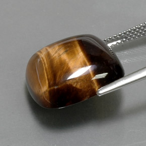 Oeil de Tigre Or Brun naturelle Coupe coussin, 13.05 ct, Opaque