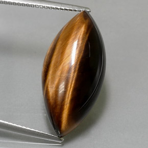 Tiger's eye marron naturelle marquise, 12,99 ct, opaque