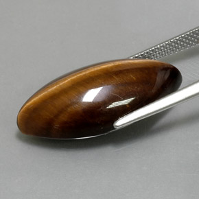Tiger's eye marron naturelle marquise, 12,55 ct, opaque