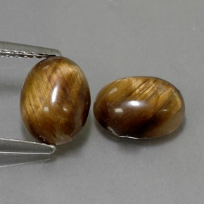 Achetez naturel ct marron tiger's eye gems, coupe ovale, en provenance thaïlande chez gemselect. en stock, livraison internationale!