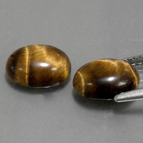 Achetez naturel ct marron tiger's eye gems, coupe ovale, en provenance thaïlande chez gemselect. en stock, livraison internationale!