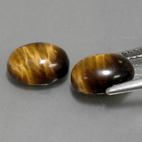 Achetez naturel ct marron tiger's eye gems, coupe ovale, en provenance thaïlande chez gemselect. en stock, livraison internationale!