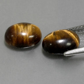 Achetez naturel ct marron tiger's eye gems, coupe ovale, en provenance thaïlande chez gemselect. en stock, livraison internationale!