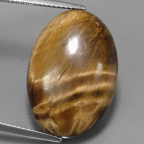 Tiger's eye marron naturelle coupe ovale, 17,34 ct, opaque