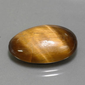 Tiger's eye marron naturelle coupe ovale, 13,32 ct, opaque