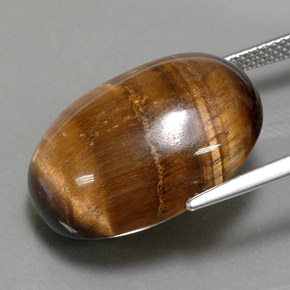 Tiger's eye marron naturelle coupe ovale, 24,80 ct, opaque