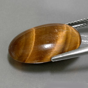 Tiger's eye marron naturelle coupe ovale, 11,07 ct, opaque