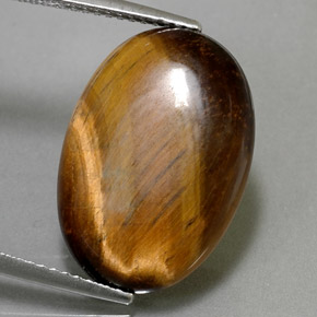 Tiger's eye marron naturelle coupe ovale, 10,40 ct, opaque