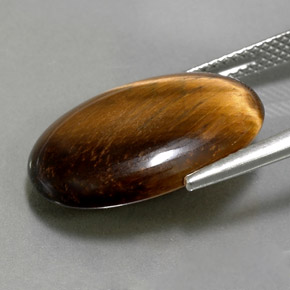 Tiger's eye marron naturelle coupe ovale, 10,40 ct, opaque