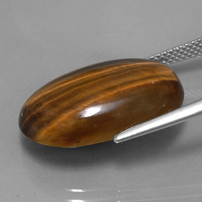 Tiger's eye marron naturelle coupe ovale, 14,42 ct, opaque