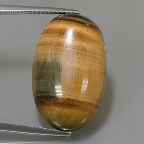 Tiger's eye marron naturelle coupe ovale, 19,16 ct, opaque