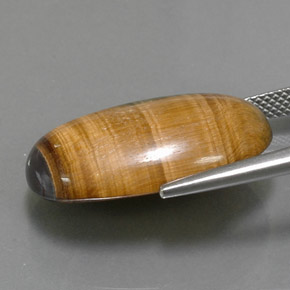 Tiger's eye marron naturelle coupe ovale, 19,16 ct, opaque