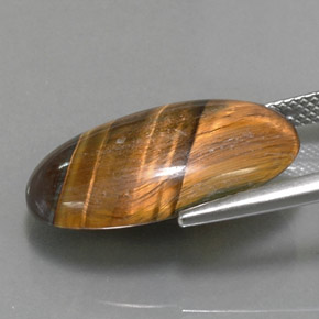 Tiger's eye marron naturelle coupe ovale, 13,07 ct, opaque