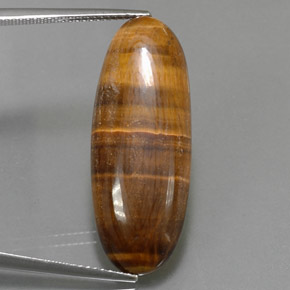 Tiger's eye marron naturelle coupe ovale, 18,16 ct, opaque
