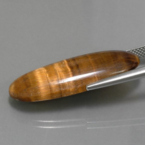Tiger's eye marron naturelle coupe ovale, 18,16 ct, opaque