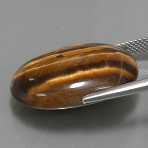 Tiger's eye marron naturelle coupe ovale, 25,04 ct, opaque