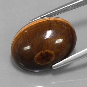 Oeil de Tigre Or Brun naturelle Coupe ovale, 12.49 ct, Opaque