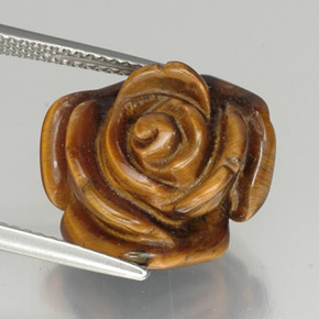 Tiger's eye marron naturelle forme fantaisie, 12,16 ct, opaque