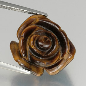 Tiger's eye marron naturelle forme fantaisie, 12,19 ct, opaque