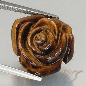 11.36ct Naturel Brun moyen Œil de tigre, Fantaisie, Opaque