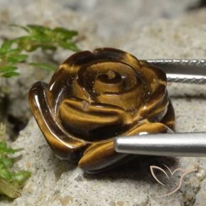 Œil de tigre Marron chaud naturelle Taille Fleur, 12.98 ct, Opaque