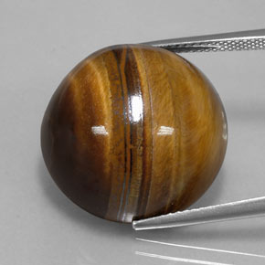 Tiger's eye marron naturelle coupe roude, 35,03 ct, opaque