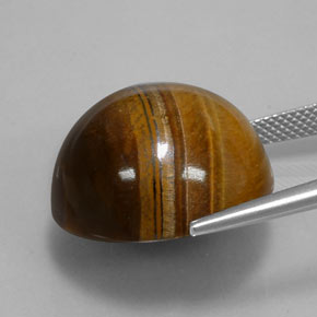 Tiger's eye marron naturelle coupe roude, 35,03 ct, opaque
