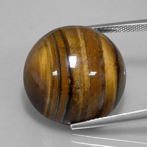 Oeil de Tigre Or Brun naturelle Coupe roude, 38.62 ct, Opaque