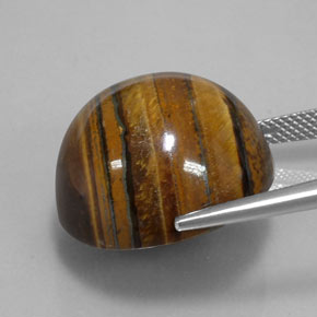 Oeil de Tigre Or Brun naturelle Coupe roude, 38.62 ct, Opaque