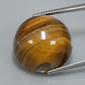 Tiger's eye marron naturelle coupe roude, 36,26 ct, opaque