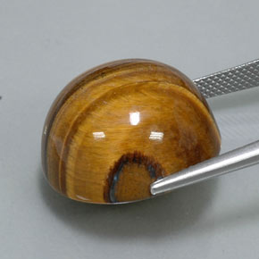 Tiger's eye marron naturelle coupe roude, 36,26 ct, opaque
