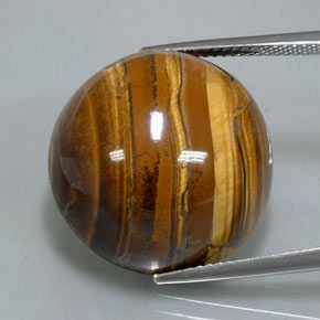 Tiger's eye marron naturelle coupe roude, 38,37 ct, opaque